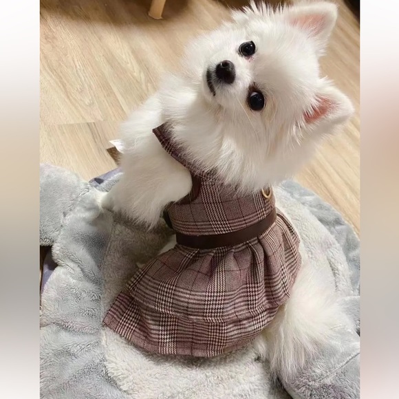 ✨Host Pick✨ Angel Amy Breathable Pet Dress Harness & Leash - Picture 4 of 16